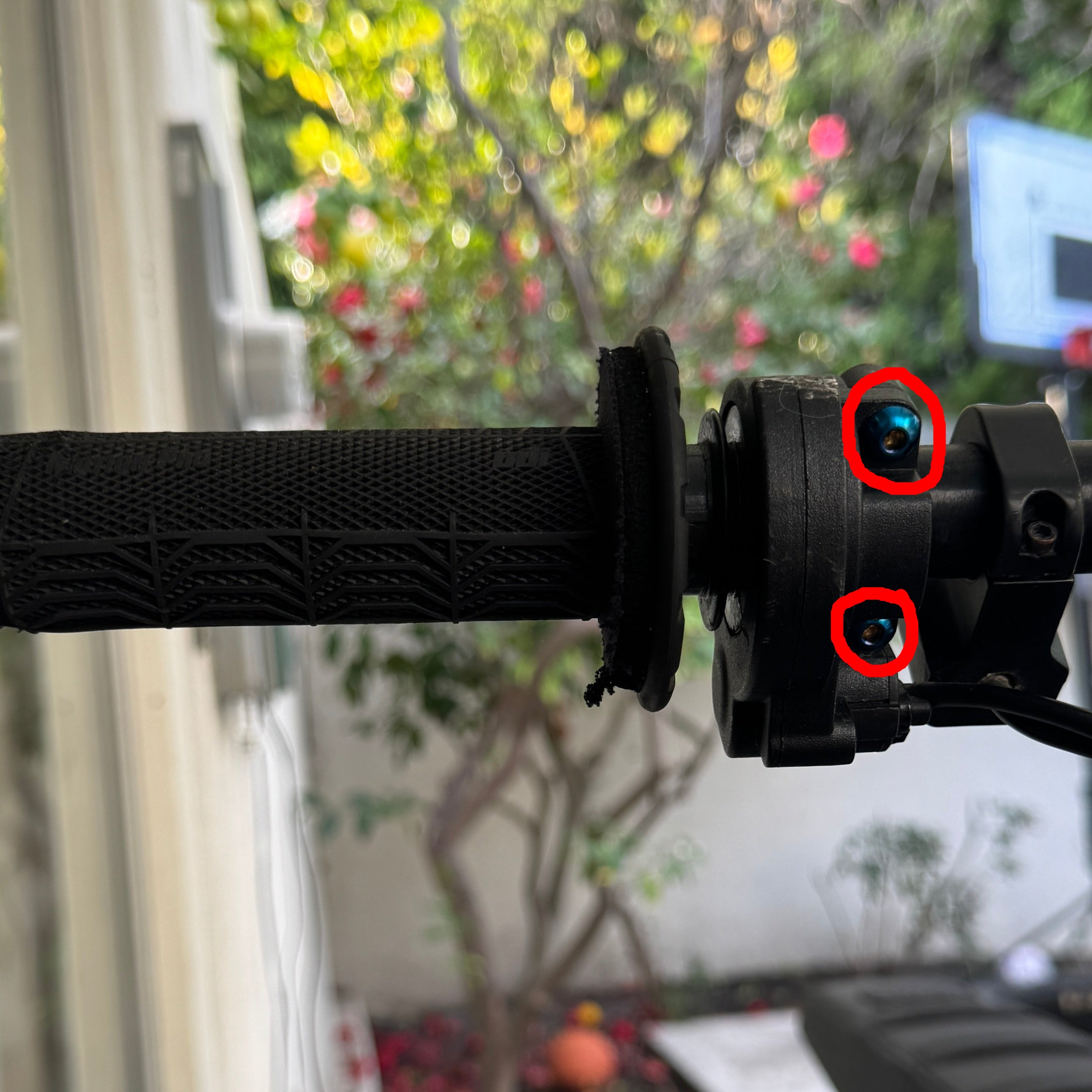 Titanium Throttle Bolts (All Emoto)